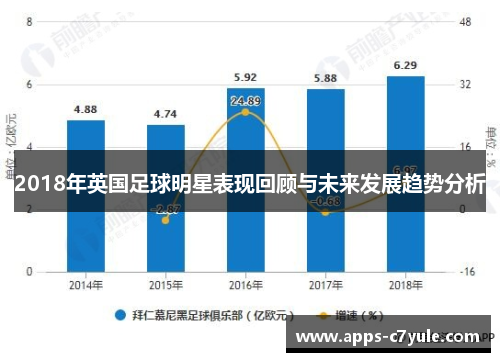 2018年英国足球明星表现回顾与未来发展趋势分析