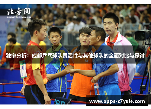 独家分析：成都乒乓球队灵活性与其他球队的全面对比与探讨