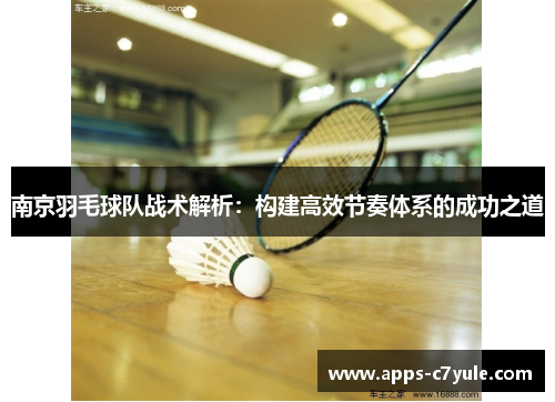 南京羽毛球队战术解析：构建高效节奏体系的成功之道