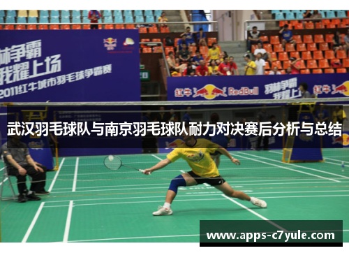 武汉羽毛球队与南京羽毛球队耐力对决赛后分析与总结
